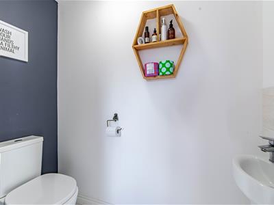 Picture 17